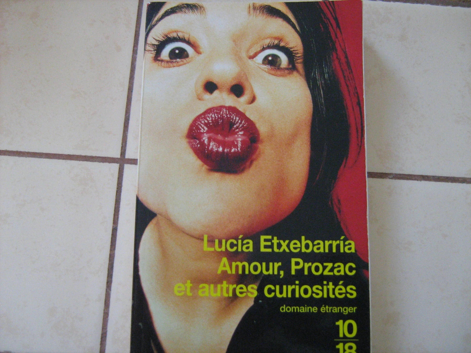Lucia Etxebarria amour, prozac et autres curiosités